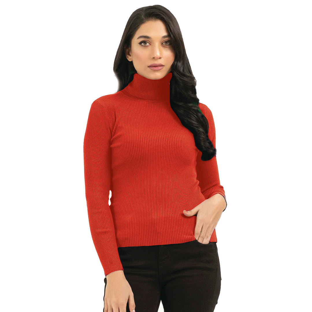 Bundles Of 2 Turtle Neck - Premium High Neck from My Store - Just Rs.2899! Shop now at The Divine Shop